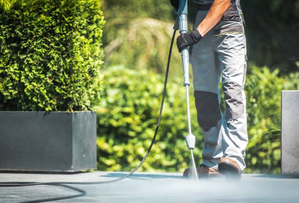 Best Driveway Pressure Washing  in Rodney Village, DE