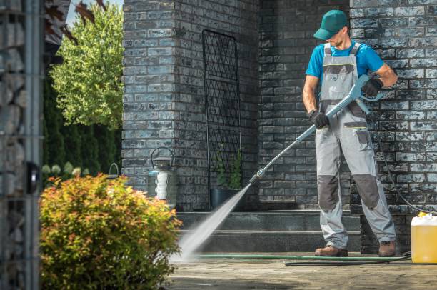 Solar Panel Cleaning in Rodney Village, DE